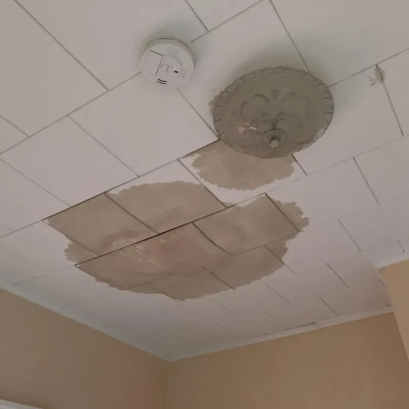 Ceiling Water Damage Repair in Stafford County, VA