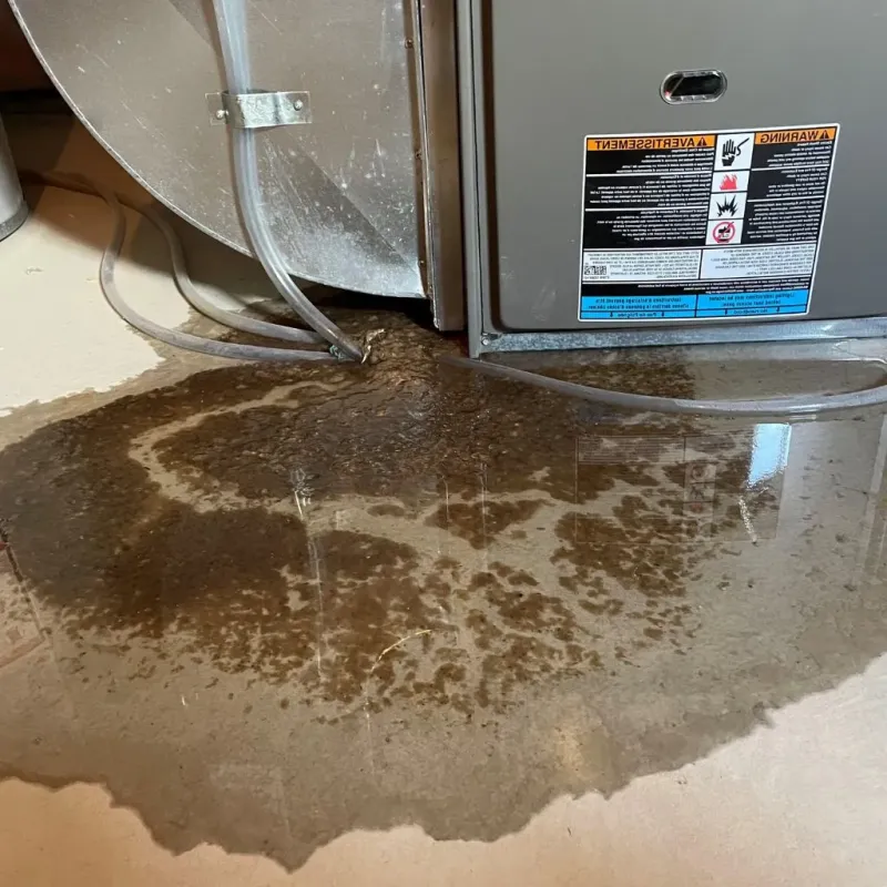 Pipe Burst and Leak Restoration in Stafford County, VA